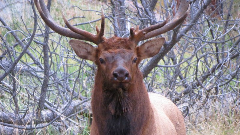 Idaho Legislators & Citizens Beware