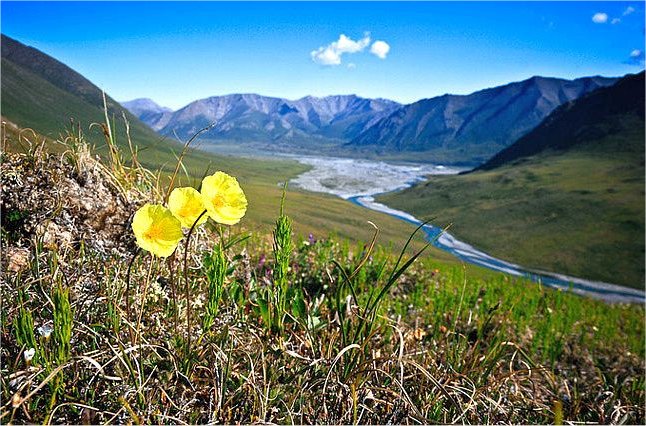 More Takeover Of Idaho Land