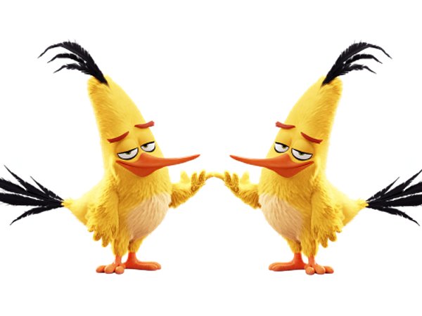 Hill and Malloy – Birds of a Feather