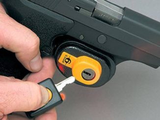 Oregon Gun Lock Up Ballot Title Issued