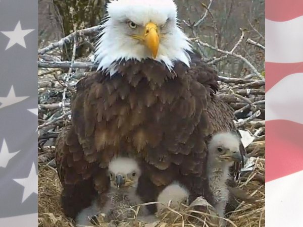 With Freedom Comes Responsibility