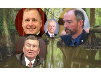 Idaho Swamp Trying To Unseat Another Conservative