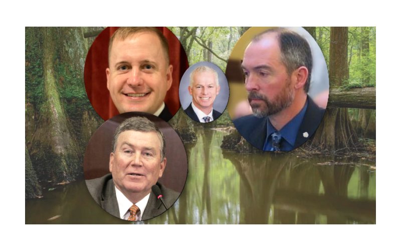 Idaho Swamp Trying To Unseat Another Conservative