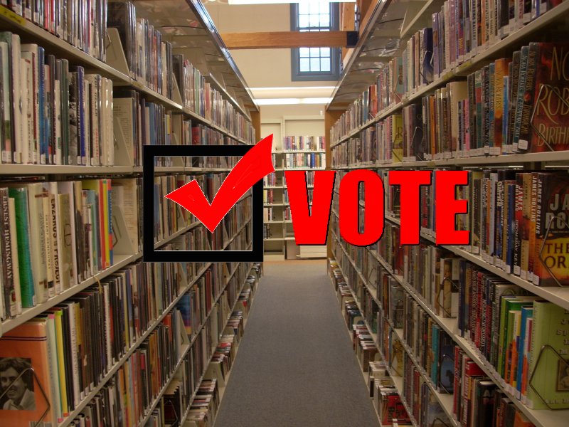 MaryEsther Wilson for Library Trustee Redoubt News