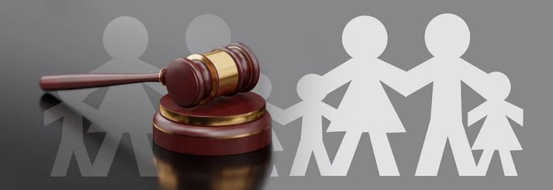 Idaho Citizens are Not Children; No Family Lawyer Needed
