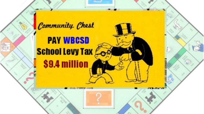 What Everyone in WBCSD Needs to Know Before Voting on the Proposed Levy