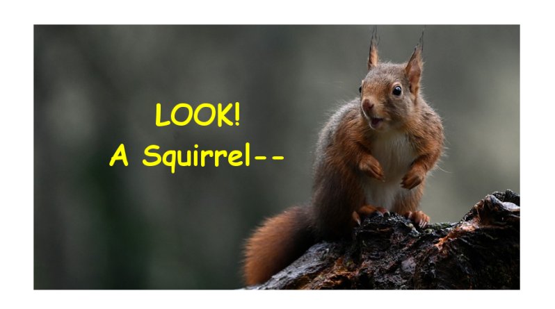 More Distractions in Bonner County: ICCO